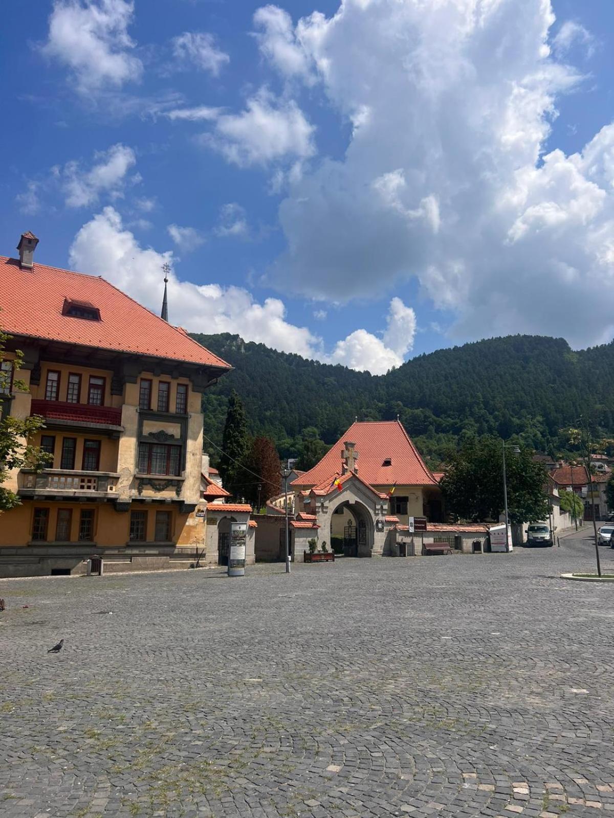 Pension Old City ブラショフ エクステリア 写真